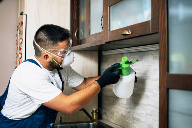 Best Residential Pest Control  in Westminster, LA
