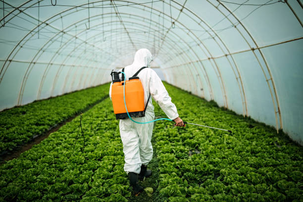 Best Pest Prevention Services  in Westminster, LA