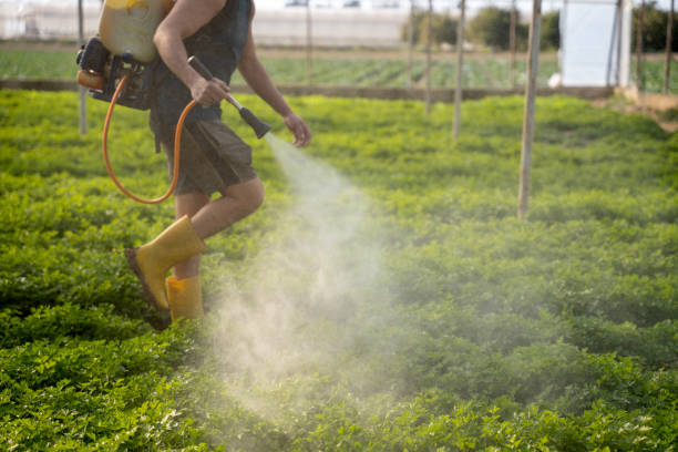 Professional Pest Control in Westminster, LA