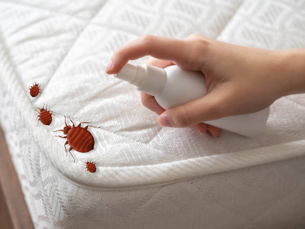 Pest Control Cost in Westminster, LA